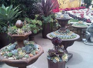 Flower Pots in a Garden