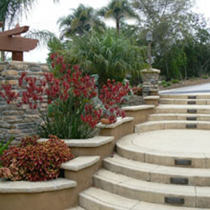 Flight of Steps in a Garden
