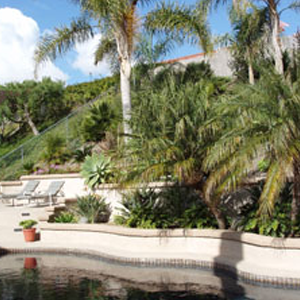 Pool Next to a Garden