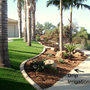 Drip Irrigation in a Garden