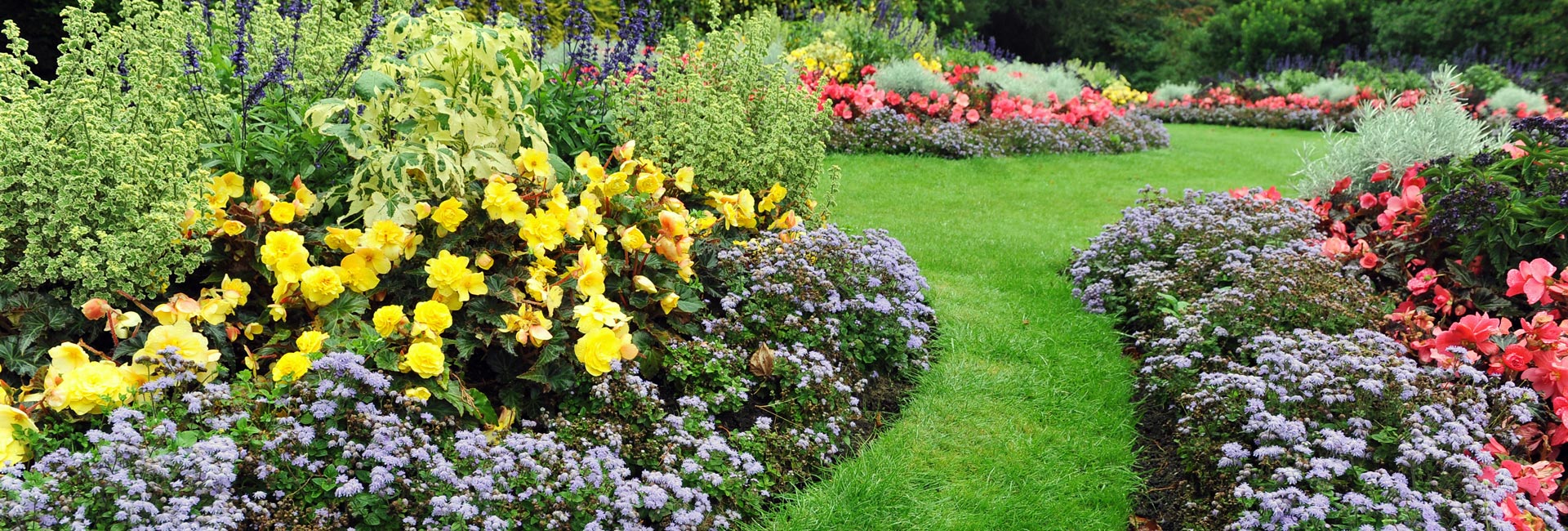 Colourful Flowerbeds in a Garden